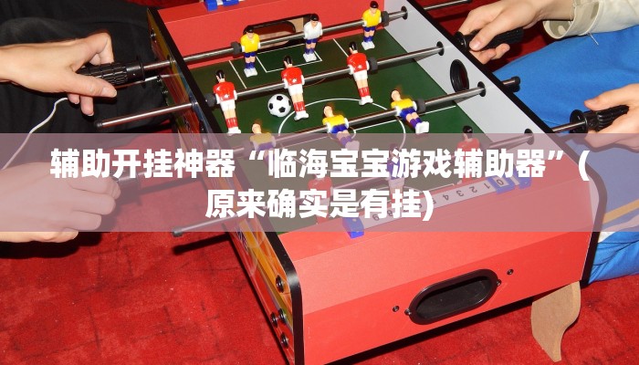 辅助开挂神器“临海宝宝游戏辅助器”(原来确实是有挂)