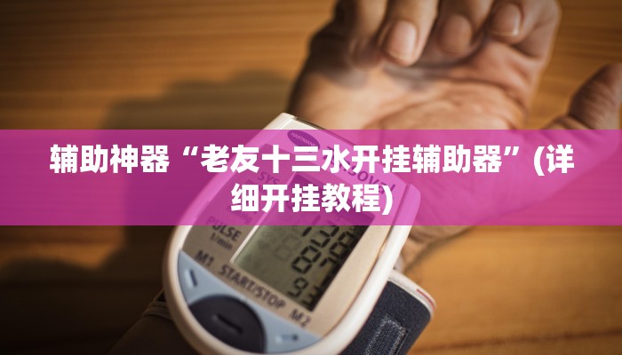 辅助神器“老友十三水开挂辅助器”(详细开挂教程)
