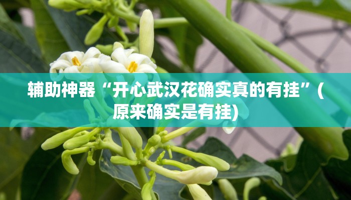 教教大家“微乐龙江麻将万能开挂器!详细分享装挂步骤