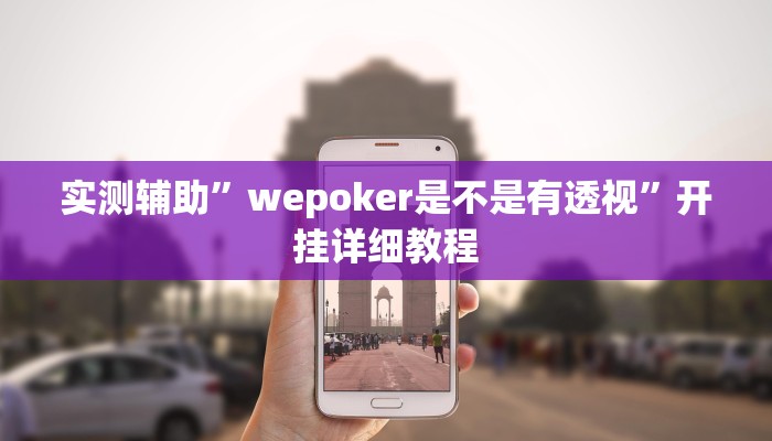 实测辅助”WePoker透视挂辅助软件”开挂详细教程