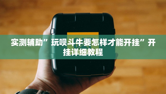 实测辅助”玩呗斗牛要怎样才能开挂”开挂详细教程