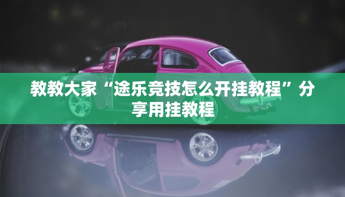 实测辅助”德州wePoker作弊辅助透视”开挂详细教程