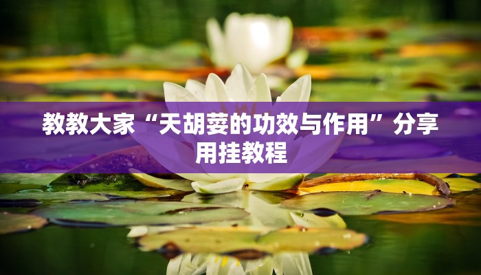 教教大家“上豫洛阳麻将开挂神器”分享用挂教程