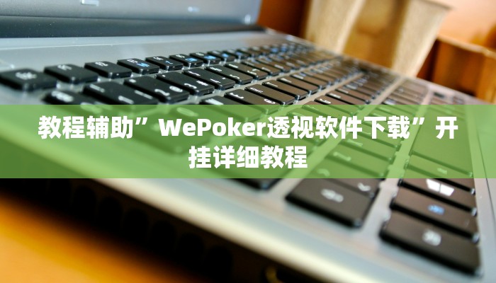 教程辅助”WePoker透视软件下载”开挂详细教程