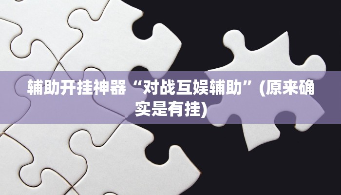 辅助神器“财神十三张开挂透视”(原来确实是有挂)