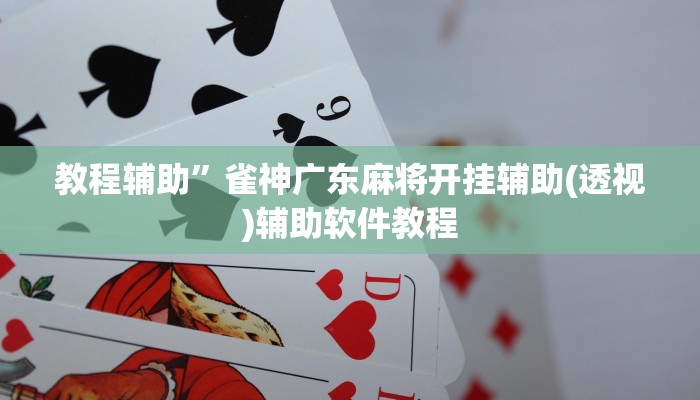 辅助开挂神器“德扑之星开挂透视神器”(详细开挂教程)