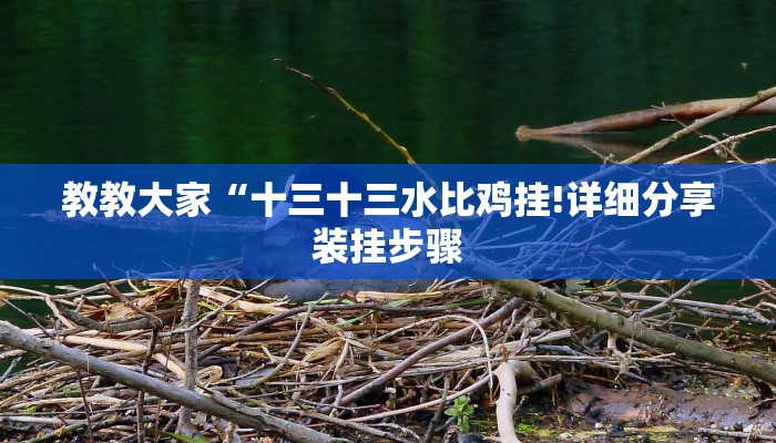教教大家“十三十三水比鸡挂!详细分享装挂步骤