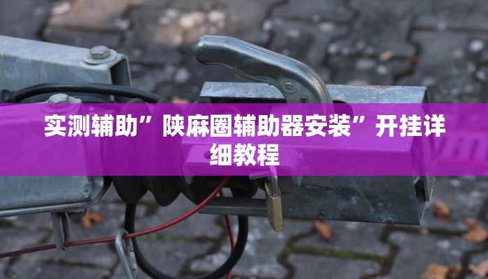 实测辅助”陕麻圈辅助器安装”开挂详细教程