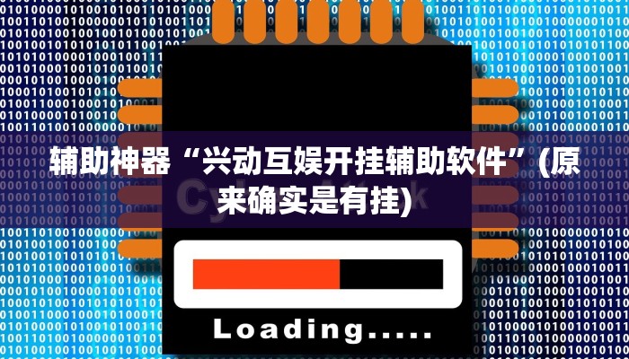 辅助神器“兴动互娱开挂辅助软件”(原来确实是有挂)