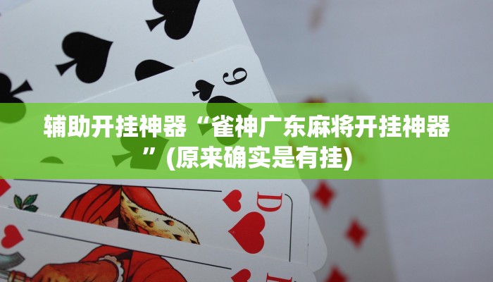 辅助开挂神器“雀神广东麻将开挂神器”(原来确实是有挂)