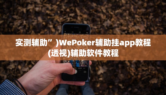 教程辅助”德扑之星德州app透视挂”开挂详细教程