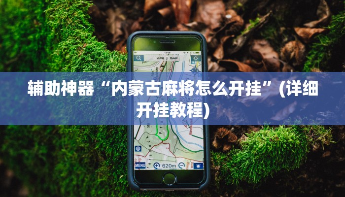 辅助神器“内蒙古麻将怎么开挂”(详细开挂教程)