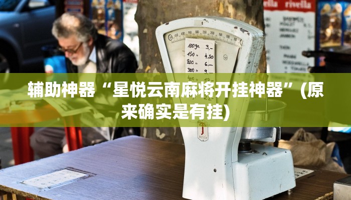 辅助神器“星悦云南麻将开挂神器”(原来确实是有挂)