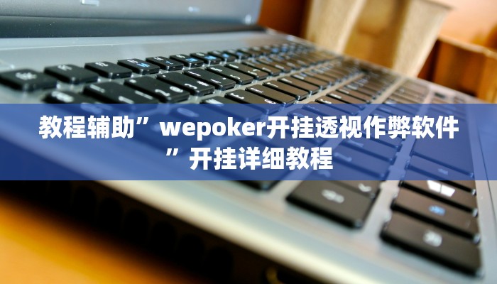 教程辅助”wepoker开挂透视作弊软件”开挂详细教程