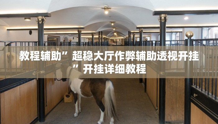 教程辅助”超稳大厅作弊辅助透视开挂”开挂详细教程