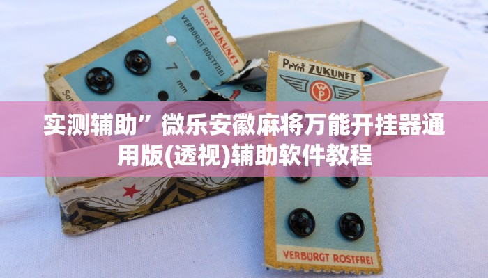 教教大家“麻友圈2透视辅助”分享用挂教程