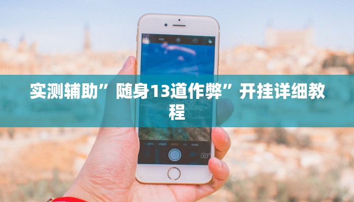 实测辅助”随身13道作弊”开挂详细教程