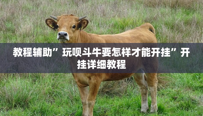 教程辅助”德州WepoKer透视作弊挂教程(透视)辅助软件教程