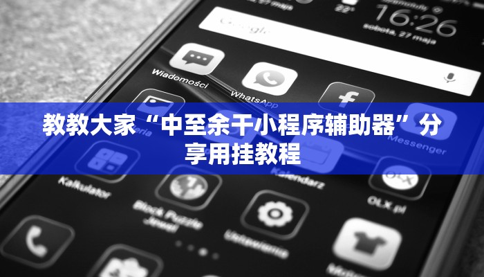 教教大家“中至余干小程序辅助器”分享用挂教程