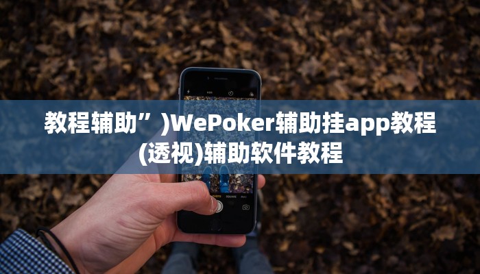 实测辅助”海贝之城拼三张透视作弊”开挂详细教程