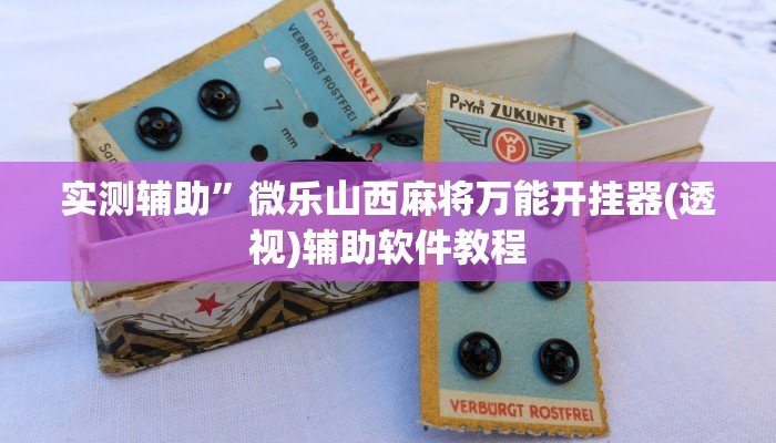 实测辅助”闲逸碰胡开挂神器(透视)辅助软件教程