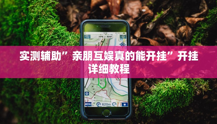 辅助开挂神器“大牌联盟到底有没有挂”(原来确实是有挂)