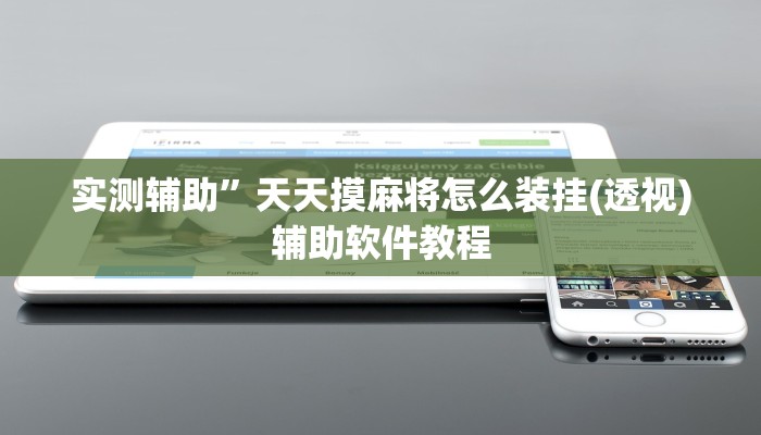 教程辅助”青鸟大厅拼三张透视挂”开挂详细教程