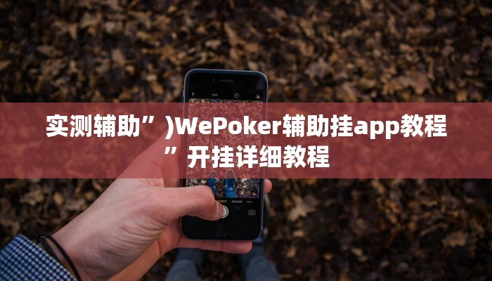 实测辅助”)WePoker辅助挂app教程”开挂详细教程