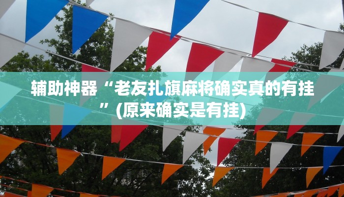辅助神器“老友扎旗麻将确实真的有挂”(原来确实是有挂)