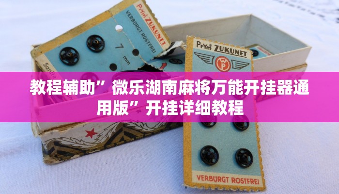 教程辅助”微乐湖南麻将万能开挂器通用版”开挂详细教程