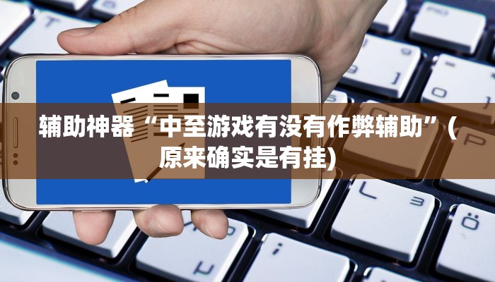 辅助神器“中至游戏有没有作弊辅助”(原来确实是有挂)