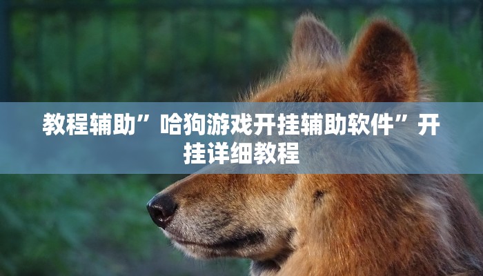 教教大家“天天麻将开挂神器下载安装”分享用挂教程