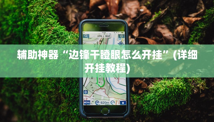 辅助神器“边锋干瞪眼怎么开挂”(详细开挂教程)