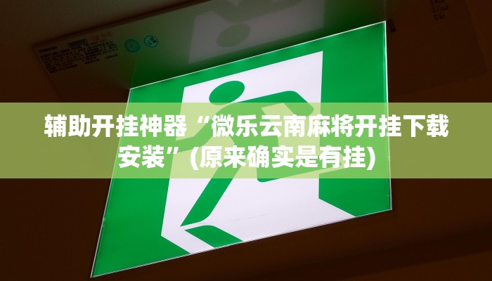 教教大家“经典联盟辅助器!详细分享装挂步骤