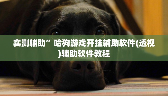 实测辅助”哈狗游戏开挂辅助软件(透视)辅助软件教程