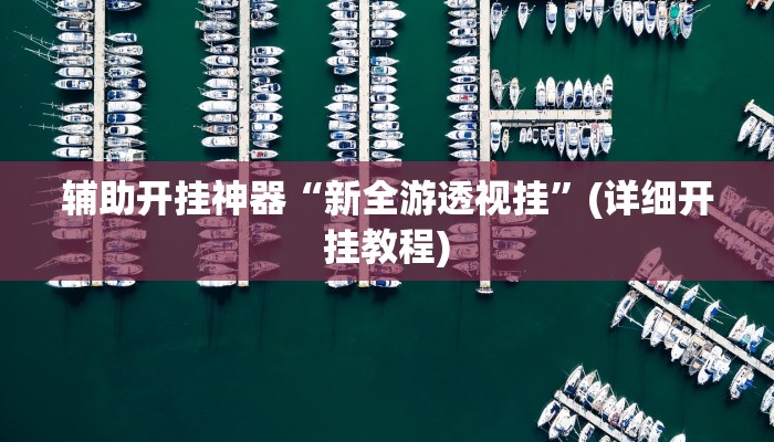 辅助开挂神器“新全游透视挂”(详细开挂教程)
