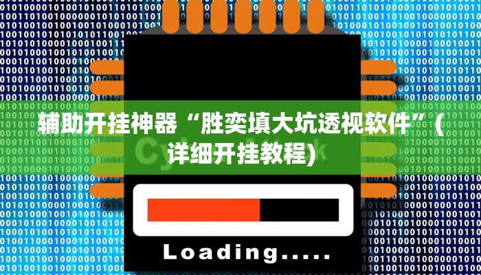 辅助开挂神器“胜奕填大坑透视软件”(详细开挂教程)