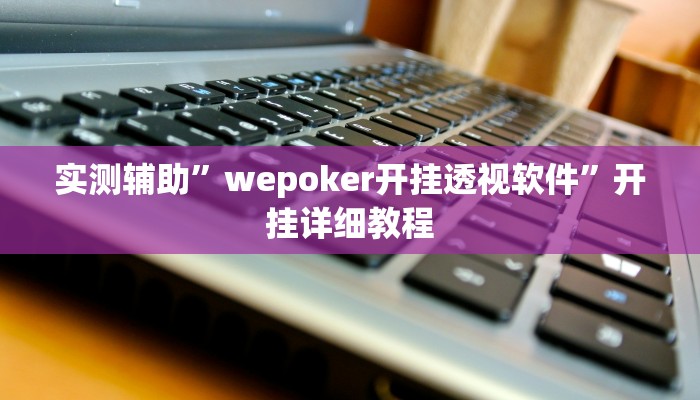 实测辅助”wepoker开挂透视软件”开挂详细教程