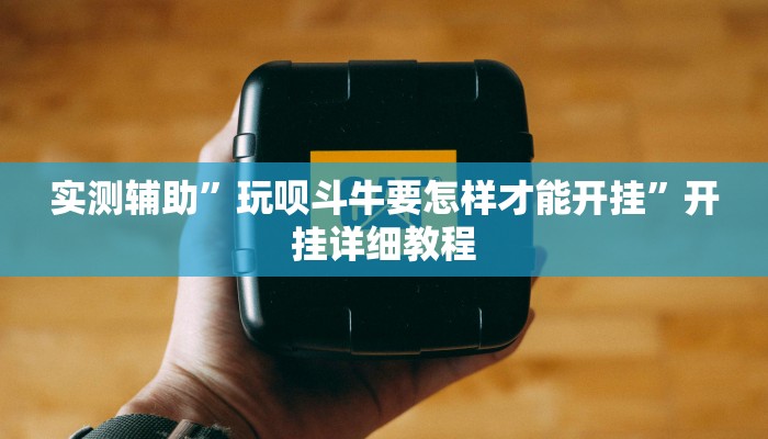 实测辅助”玩呗斗牛要怎样才能开挂”开挂详细教程