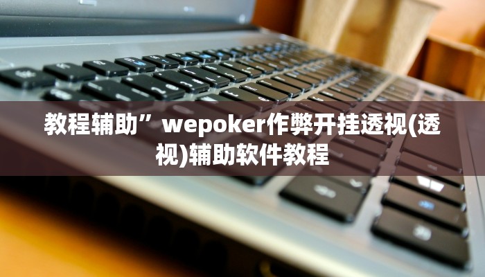 教程辅助”wepoker作弊开挂透视(透视)辅助软件教程