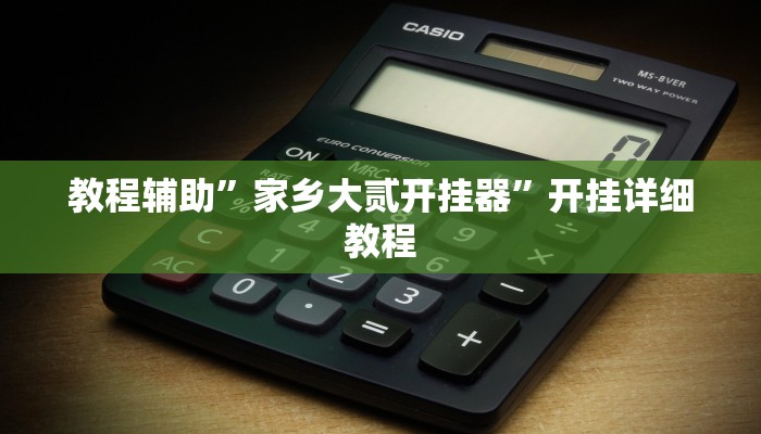 教程辅助”家乡大贰开挂器”开挂详细教程