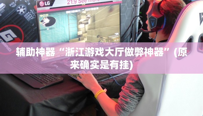 辅助神器“浙江游戏大厅做弊神器”(原来确实是有挂)