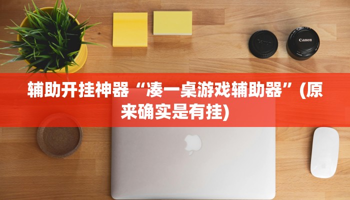 辅助开挂神器“凑一桌游戏辅助器”(原来确实是有挂)