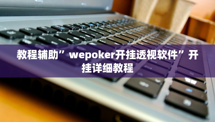 教程辅助”wepoker开挂透视软件”开挂详细教程