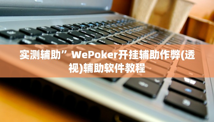 实测辅助”WePoker开挂辅助作弊(透视)辅助软件教程