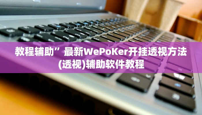 教程辅助”最新WePoKer开挂透视方法(透视)辅助软件教程