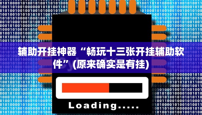 辅助开挂神器“畅玩十三张开挂辅助软件”(原来确实是有挂)