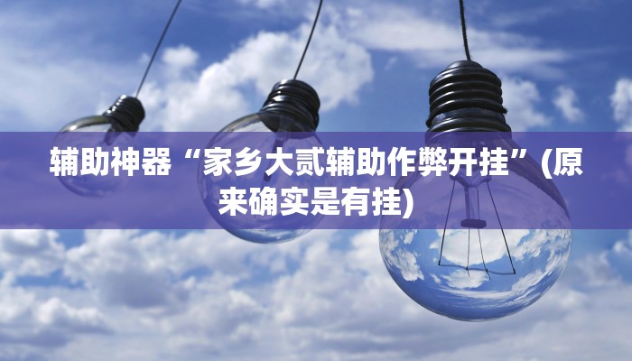 辅助神器“家乡大贰辅助作弊开挂”(原来确实是有挂)