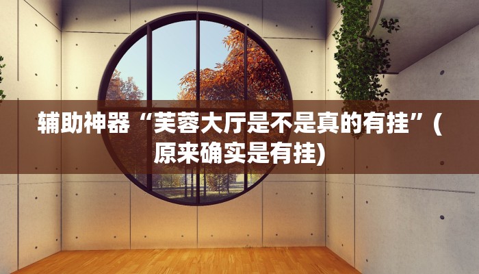辅助神器“芙蓉大厅是不是真的有挂”(原来确实是有挂)