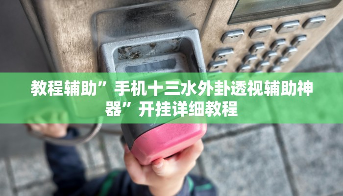 教程辅助”手机十三水外卦透视辅助神器”开挂详细教程